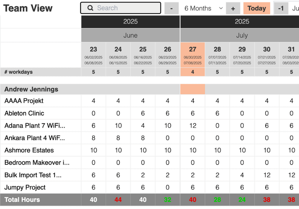 A capacity sheet should also display the individual utilization of each team member.